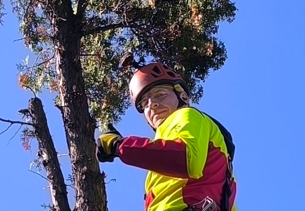 Jano, arborist – working in tree canopies